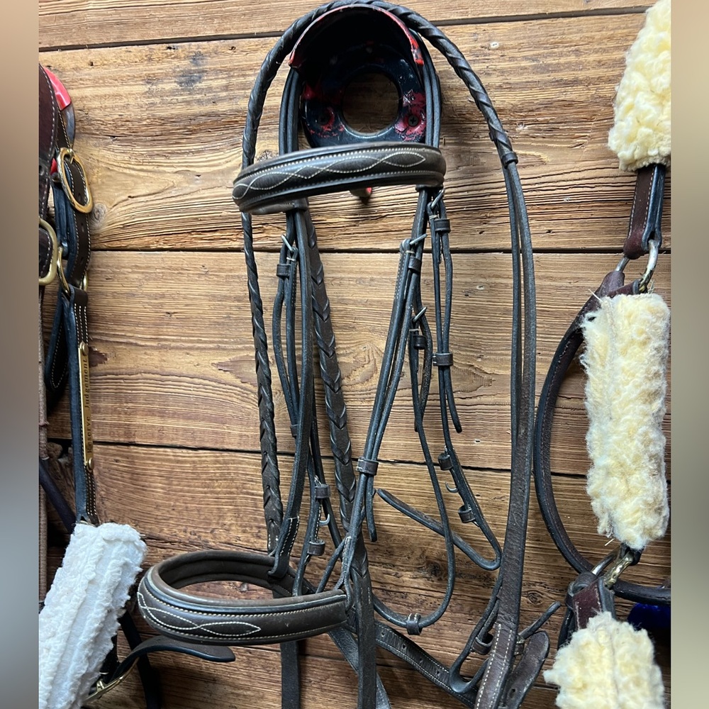 Horse size Schooling bridle, with reins - Picture 2 of 4